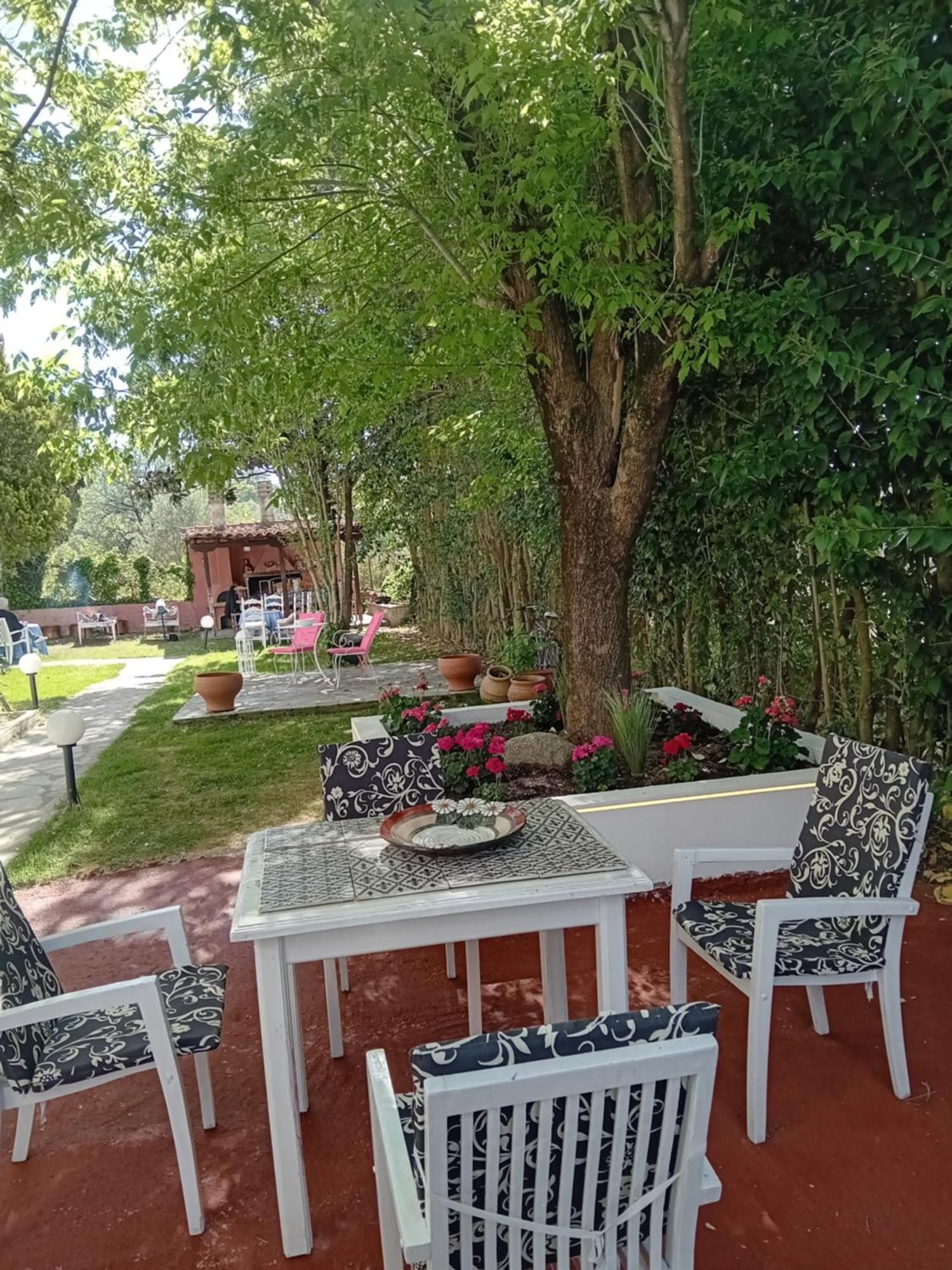 Meteora Grande Luxury Suite & Spa Villa 卡兰巴卡 外观 照片